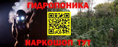mix Гатчина