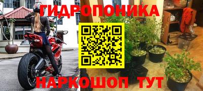 мдпв Гай