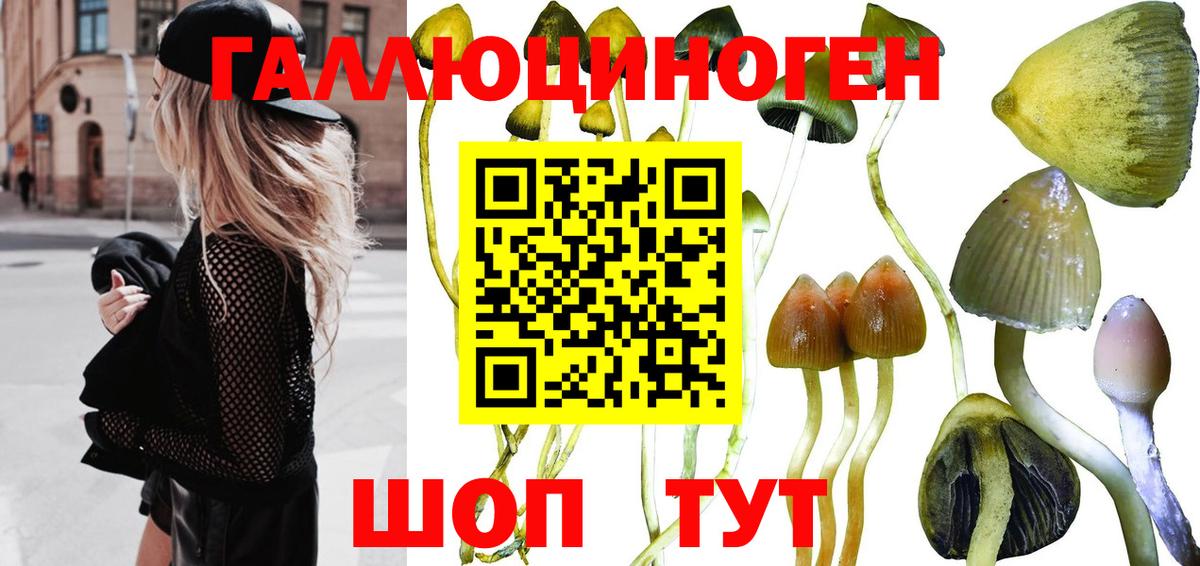 Псилоцибиновые грибы ЛСД Ижевск
